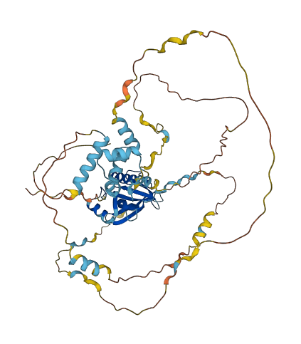 WASL 3D structure