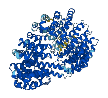 IPO5 3D structure