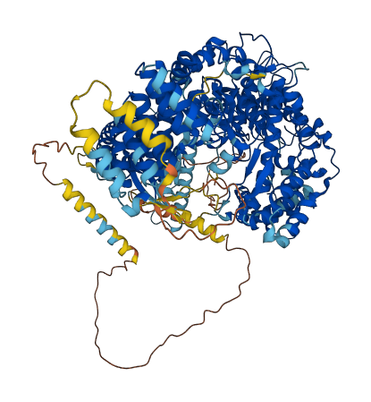POLRMT 3D structure