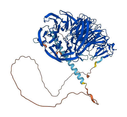 EML1 3D structure