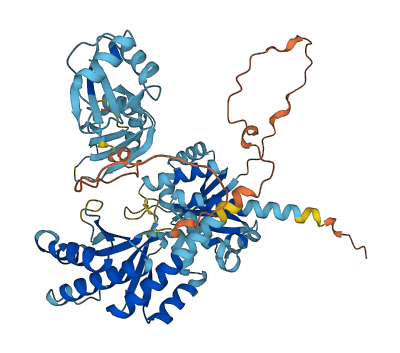 IGF2BP3 3D structure