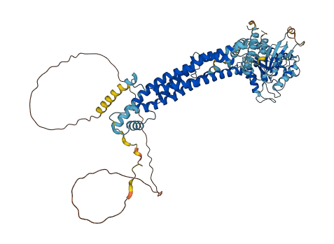DNM1L 3D structure