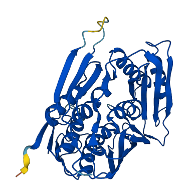 RTCA 3D structure