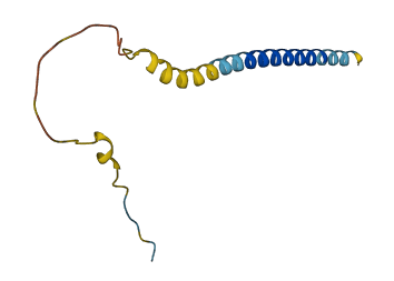 LST1 3D structure