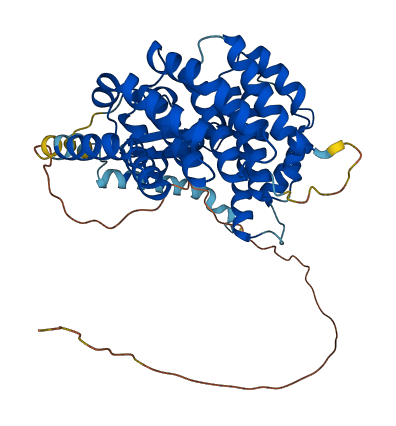 IFRD1 3D structure