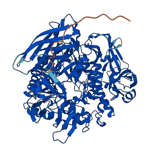 MANBA 3D structure