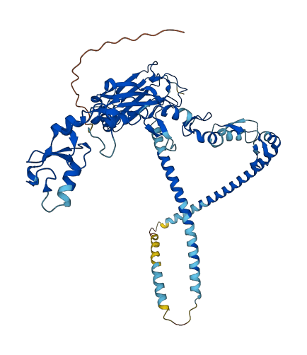 TRAF5 3D structure