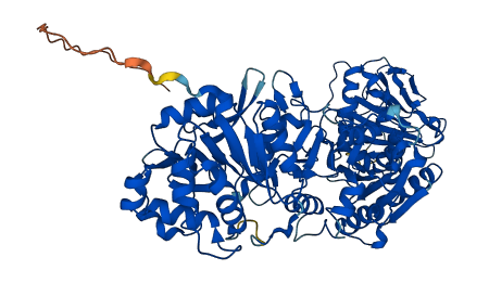 PLOD2 3D structure