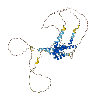MEIS1 3D structure