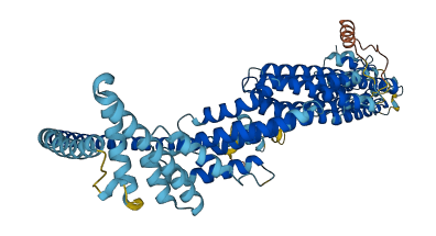 EXOC5 3D structure