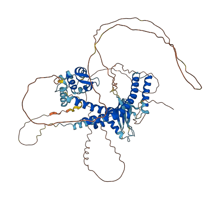 ELL2 3D structure