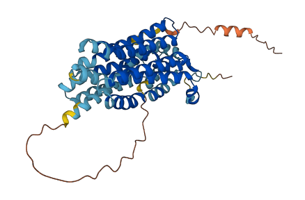 SLC17A3 3D structure