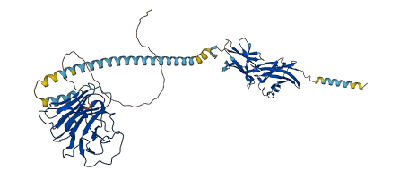 BTN3A3 3D structure