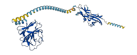 BTN3A1 3D structure