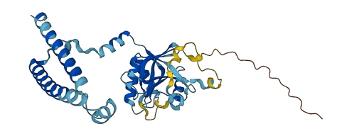 PSMD14 3D structure
