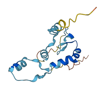 ZNF593 3D structure
