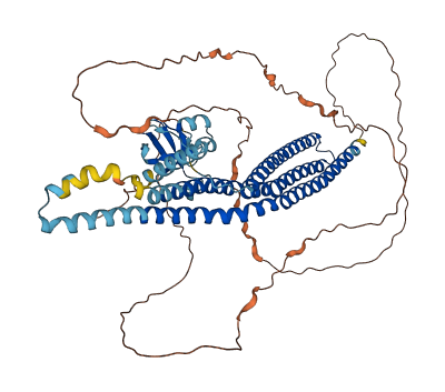 BIN1 3D structure