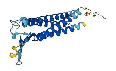CLDN5 3D structure
