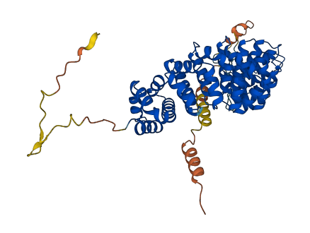 KPNA3 3D structure