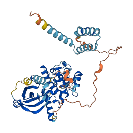 STK25 3D structure