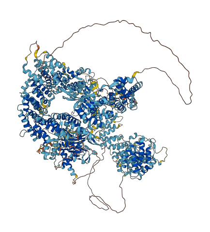 USP9Y 3D structure