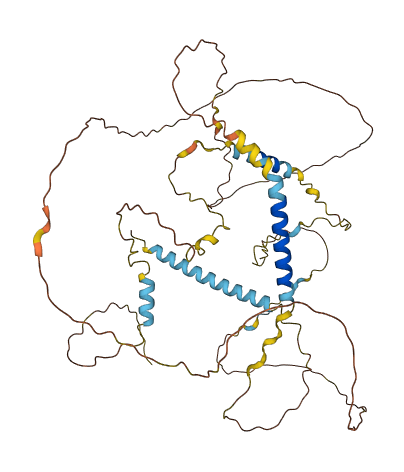 LAD1 3D structure
