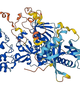 KRIT1 3D structure