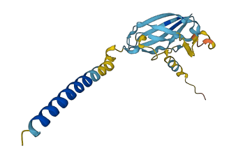 UPK2 3D structure