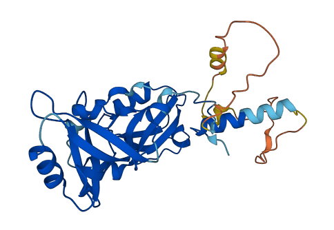SDCBP 3D structure