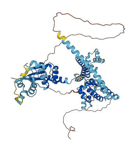 NOP56 3D structure