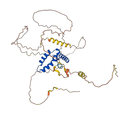 SOX1 3D structure