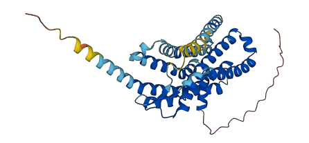 CXCR6 3D structure