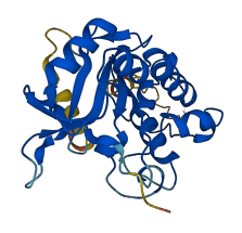 RNASET2 3D structure