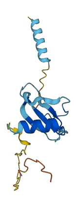 CCL21 3D structure