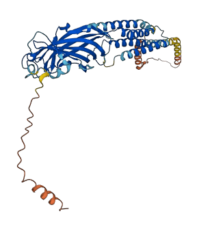 GABRP 3D structure