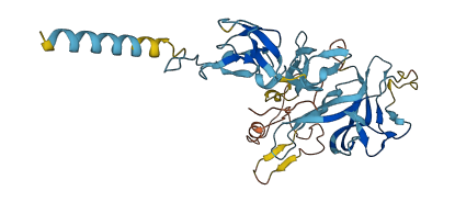 CCN1 3D structure