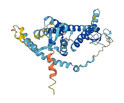 PEX12 3D structure