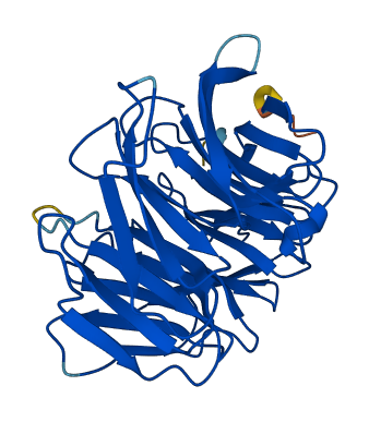 PEX7 3D structure