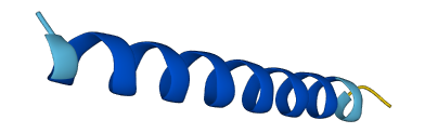SLN 3D structure
