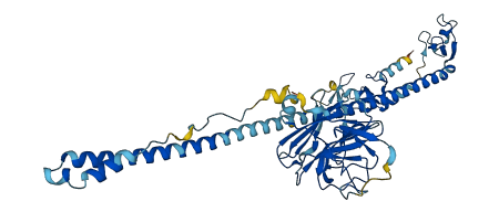 TRIM38 3D structure