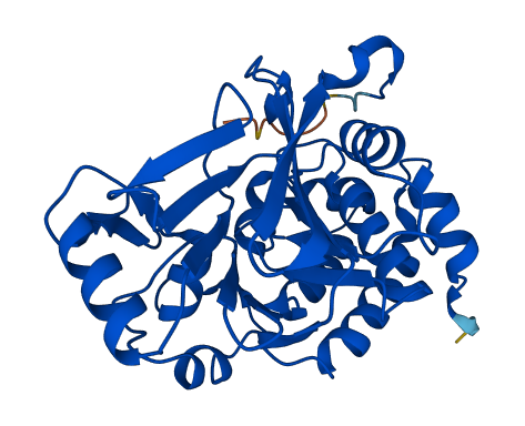 PPP6C 3D structure