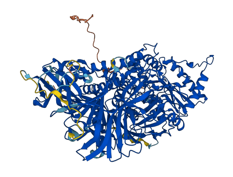 MAN2B1 3D structure