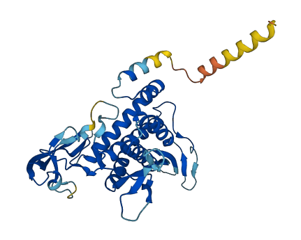 WNT7A 3D structure