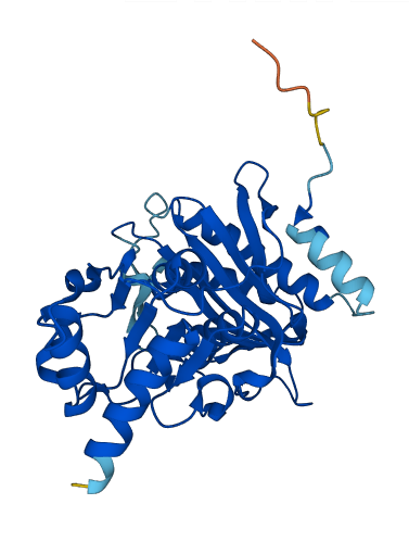 FBP2 3D structure