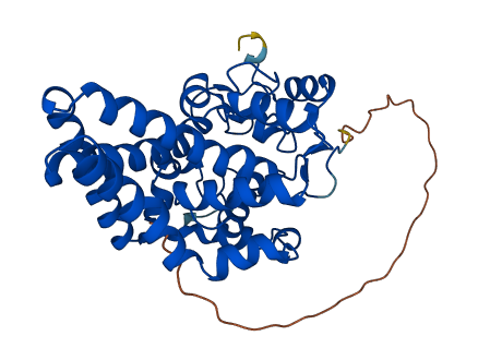 SCD 3D structure