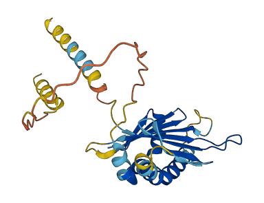 Raet1a 3D structure