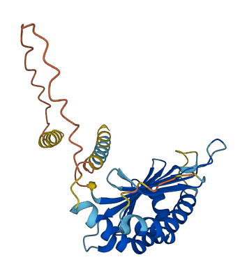 Raet1b 3D structure