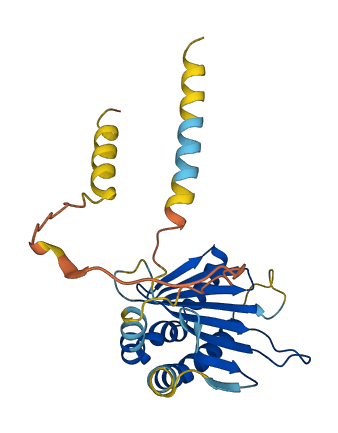 Raet1c 3D structure