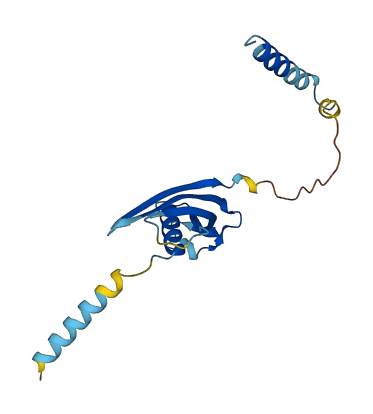 Ngp 3D structure