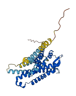 Fpr-s1 3D structure